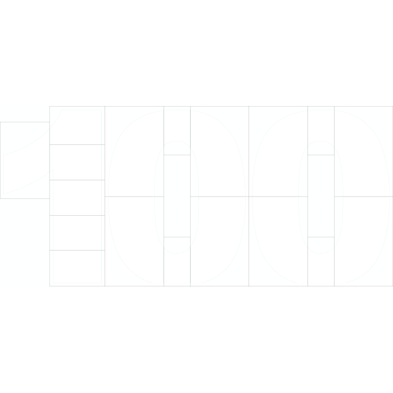 100 con fotografías (40 cm)